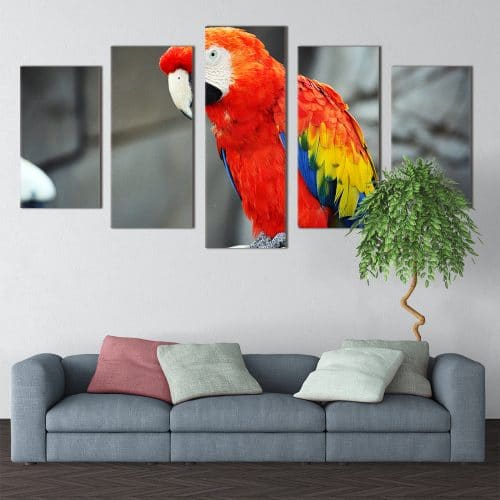 Beautiful Parrot- Beautiful Home Décor | Unique Canvas