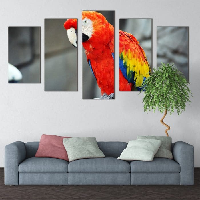 Beautiful Parrot- Beautiful Home Décor | Unique Canvas