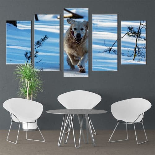 Bounding Golden Retriever - Beautiful Home Décor | Unique Canvas