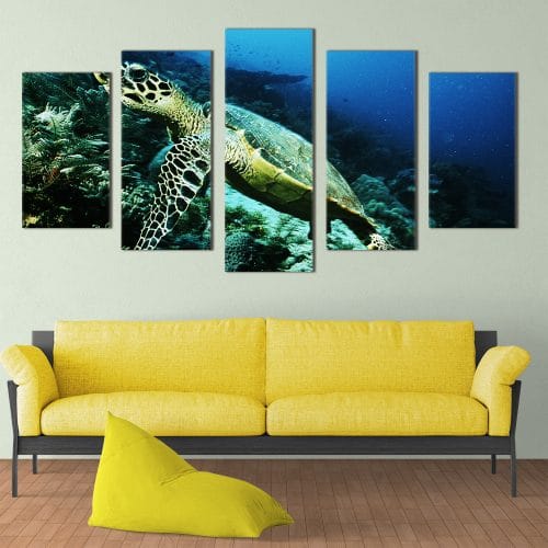 Sea Turtle- Beautiful Home Décor | Unique Canvas