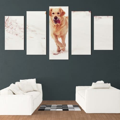 Snowy Golden Retriever - Beautiful Home Décor | Unique Canvas