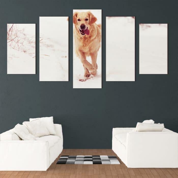 Snowy Golden Retriever - Beautiful Home Décor | Unique Canvas