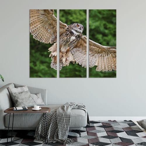 Flying Owl - Beautiful Home Décor | Unique Canvas