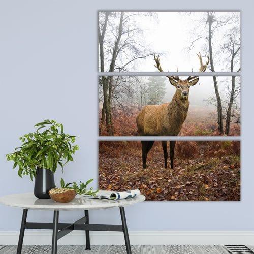 Stag - Beautiful Home Décor | Unique Canvas