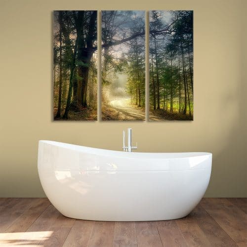 Forest Path - Beautiful Home Décor | Unique Canvas